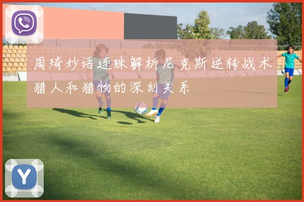 周琦妙语连珠解析尼克斯逆转战术猎人和猎物的深刻关系